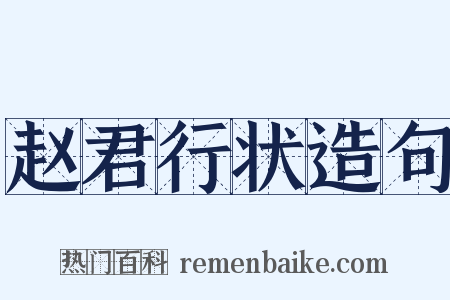 赵君行状造句是什么意思的图片